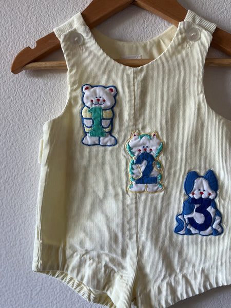 Corduroy Shorteralls