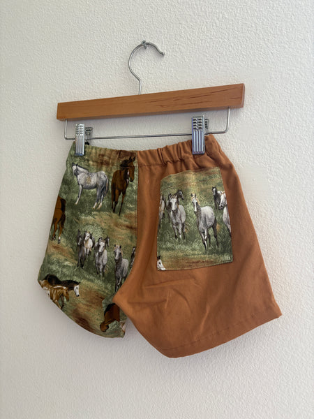 Horse Shorts | Size 5T