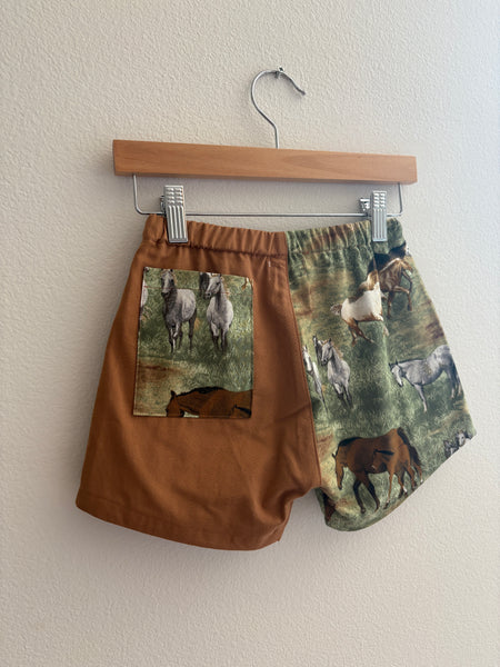 Horse Shorts | Size 6 YRS