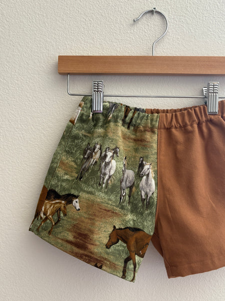 Horse Shorts | Size 4T